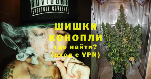 Альфа ПВП Пересвет