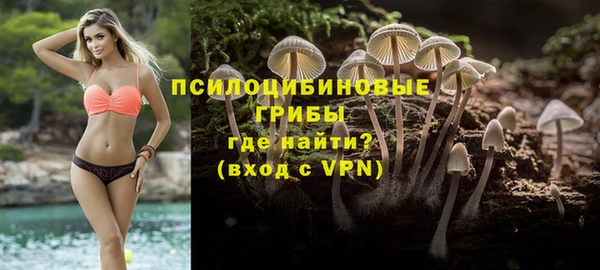 эйфоретик Пестово
