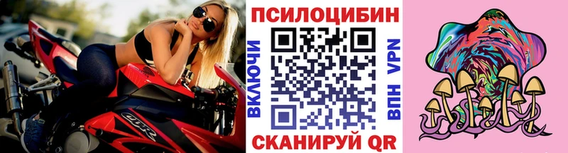 даркнет наркотические препараты  Тайга  Галлюциногенные грибы Psilocybe 